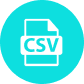 CSV Agent